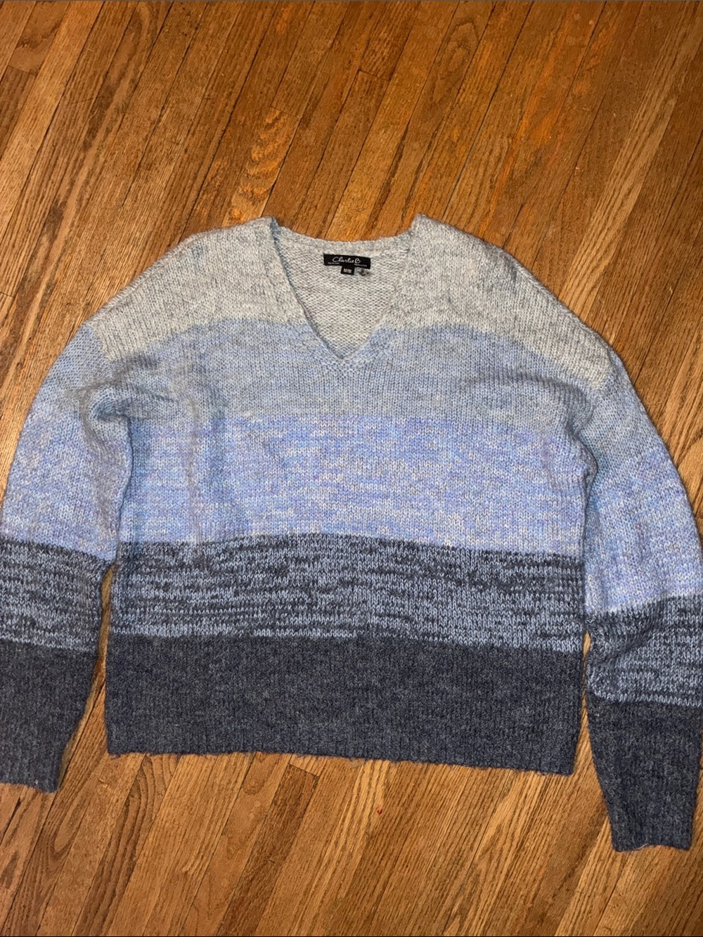 CHARLIE B Women's Blue and Gray Ombre V-Neck Sweater